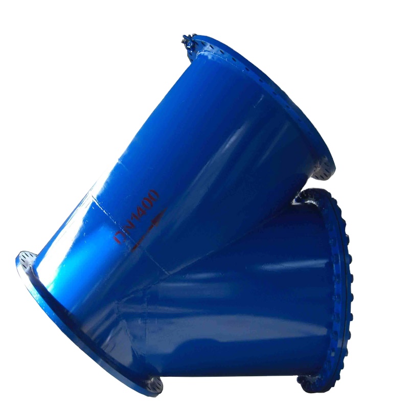 碳钢篮式过滤器4